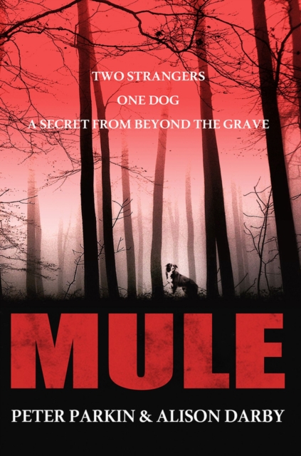 Mule, Paperback / softback Book