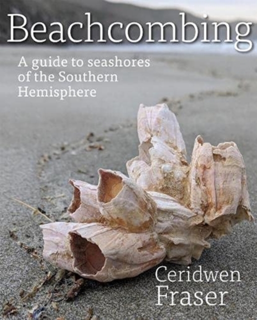 Beachcombing : A guide to seashores of the Southern Hemisphere, Paperback / softback Book