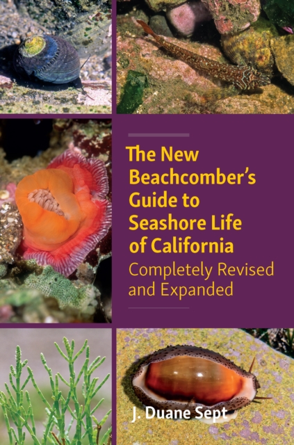 The New Beachcombers Guide to Seashore Life of Californi : Completely Revised and Expanded 2023, Paperback / softback Book