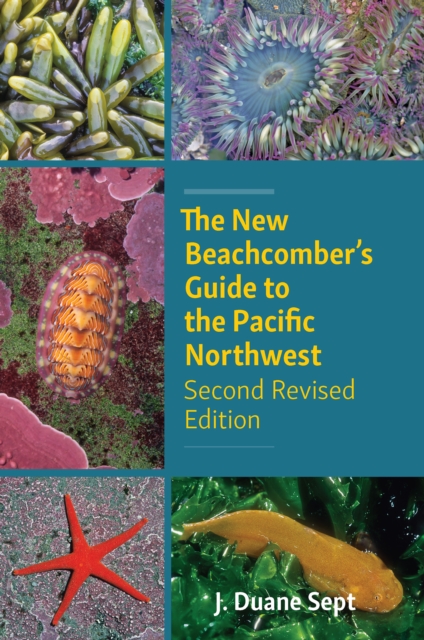 The New Beachcomber's Guide to the Pacific Northwest : Second Revised Edition, EPUB eBook
