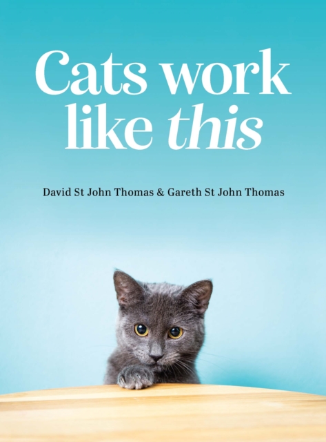 Cats Work Like This, EPUB eBook