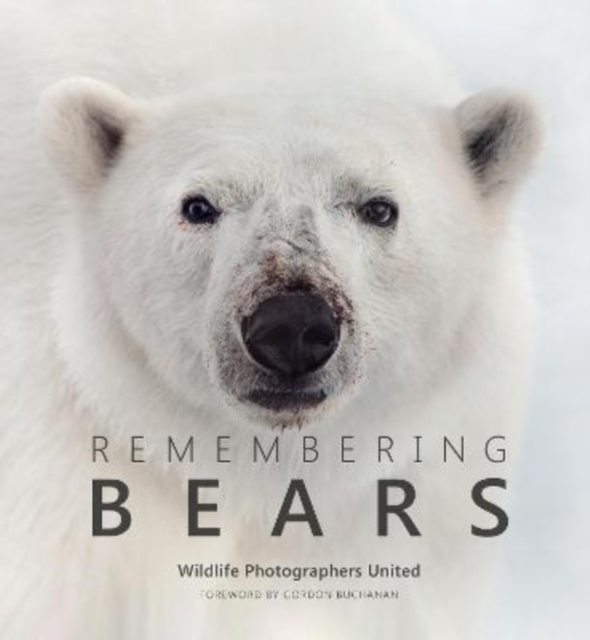 Remembering Bears, Hardback Book