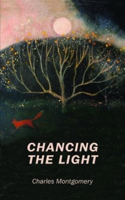 Poetry Chancing the Light : Poems, Paperback / softback Book