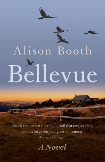 Bellevue, Paperback / softback Book