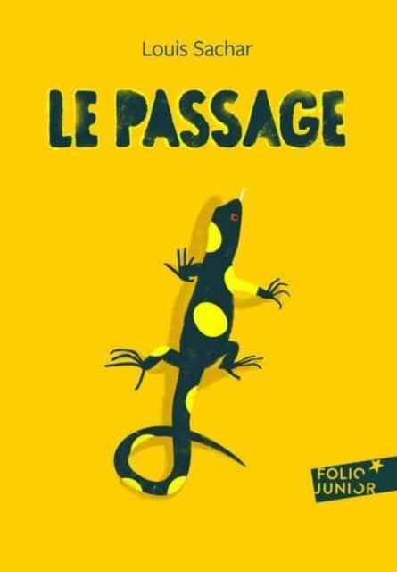 Le passage (Holes), Paperback / softback Book