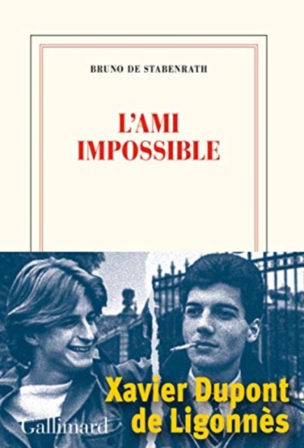 L'ami impossible, General merchandise Book