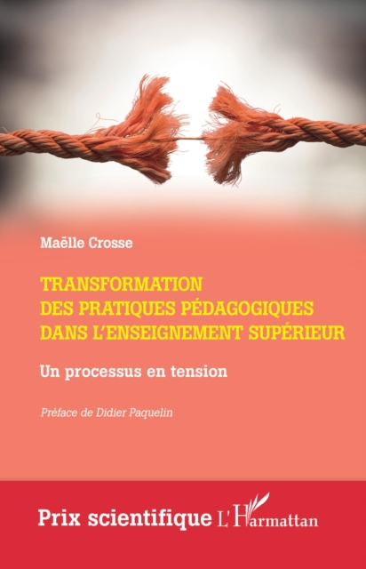 Transformation des pratiques pedagogiques dans l'enseignement superieur : Un processus en tension, EPUB eBook