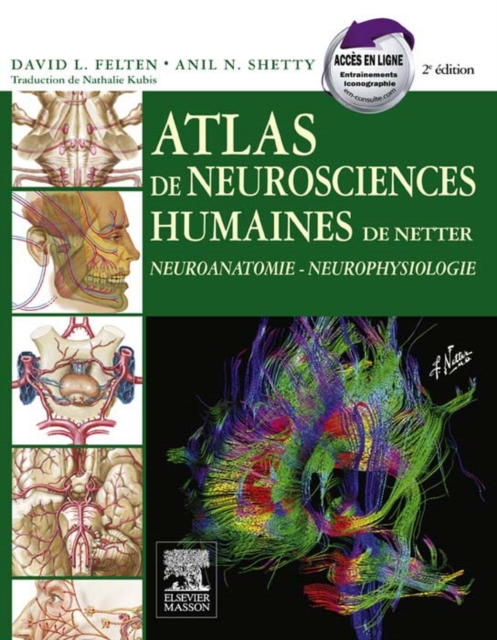 Atlas de neurosciences humaines de Netter : Neuroanatomie - Neurophysiologie, EPUB eBook