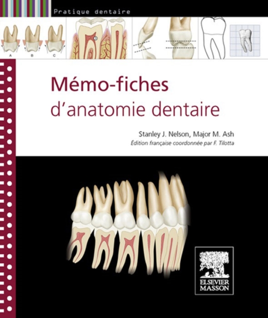 Memo-fiches d'anatomie dentaire, EPUB eBook