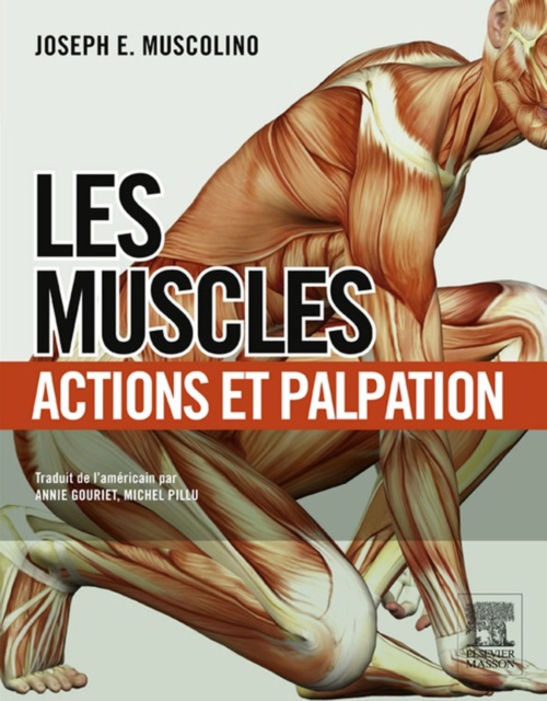 Les muscles : actions et palpation, EPUB eBook