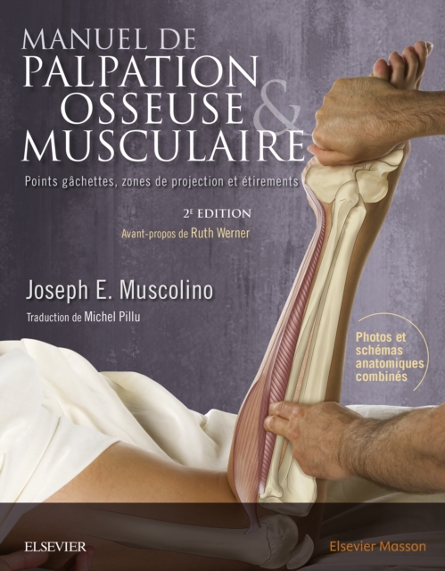 Manuel de palpation osseuse et musculaire, 2e edition : Points gachettes, zones de projection et etirements, EPUB eBook