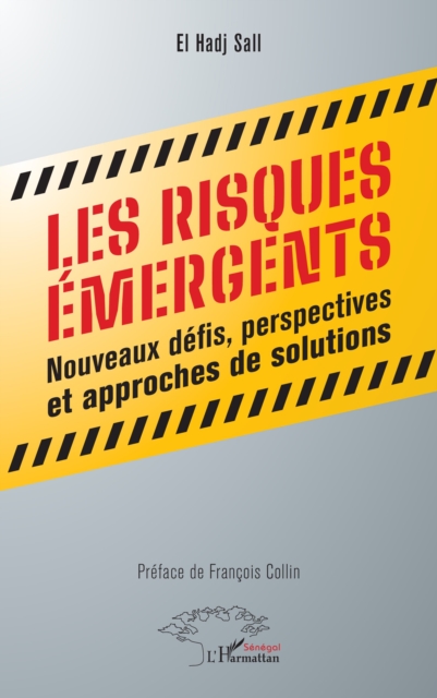 Les risques emergents : Nouveaux defis, perspectives et approches de solutions, PDF eBook