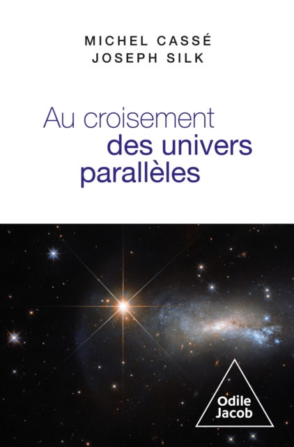 Au croisement des univers paralleles : Cosmologie et metacosmologie, EPUB eBook
