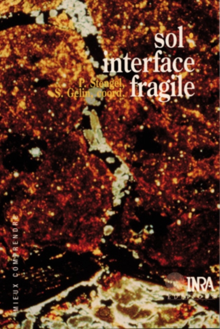 Sol : interface fragile, PDF eBook