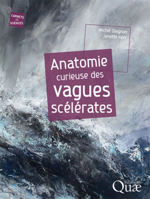 Anatomie curieuse des vagues scelerates, PDF eBook