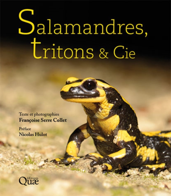 Salamandres, tritons & cie : Les beaux livres de Quae ne se veulent pas des livres de photographies, que l'on feuillette pour les abandonner rapidement sur une table, mais de beaux ouvrages avec du co, PDF eBook