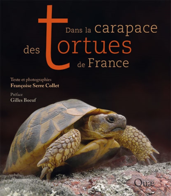 Dans la carapace des tortues de France : Les beaux livres de Quae ne se veulent pas des livres de photographies, que l'on feuillette pour les abandonner rapidement sur une table, mais de beaux ouvrage, PDF eBook