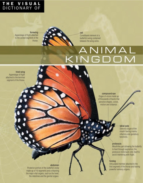 The Visual Dictionary of Animal Kingdom : Animal Kingdom, PDF eBook