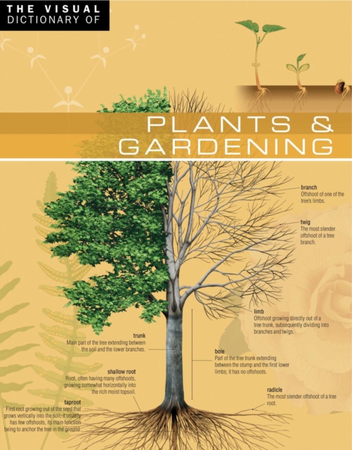 The Visual Dictionary of Plants & Gardening : Plants & Gardening, PDF eBook
