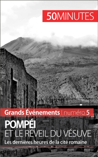 Pompei et le reveil du Vesuve : Les dernieres heures de la cite romaine, EPUB eBook