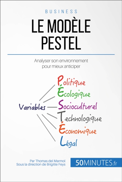 Le Modele PESTEL : Analyser son environnement pour mieux anticiper, EPUB eBook