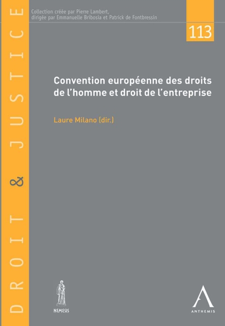 Convention europeenne des droits de l'homme et droit de l'entreprise, EPUB eBook