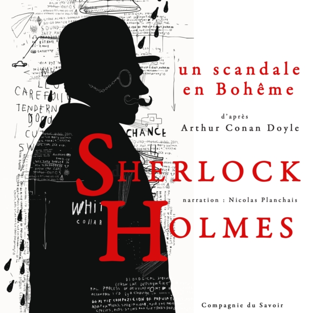 Un scandale en Boheme, Les enquetes de Sherlock Holmes et du Dr Watson, eAudiobook MP3 eaudioBook