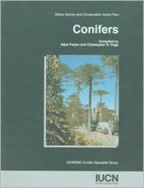 Conifers : Status Survey and Conservation Action Plan, Paperback / softback Book