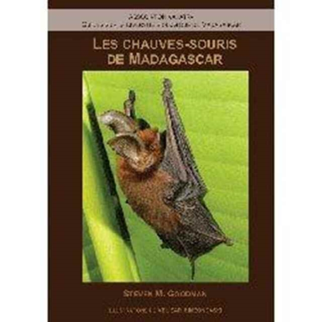 Les Chauves-Souris de Madagascar, Paperback / softback Book