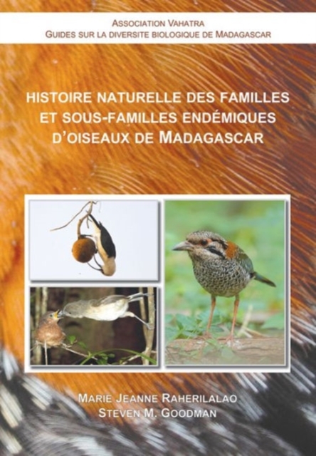 Histoire Naturelle des Familles et Sous-Familles Endemiques d'Oiseaux de Madagascar, Paperback / softback Book