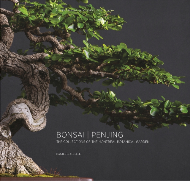Bonsai | Penjing : The Collections of the Montreal Botanitcal Garden, Hardback Book
