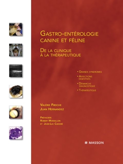 Gastro-enterologie canine et feline : De la clinique a la therapeutique, EPUB eBook