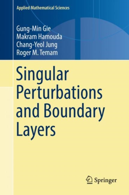 Singular Perturbations and Boundary Layers, EPUB eBook