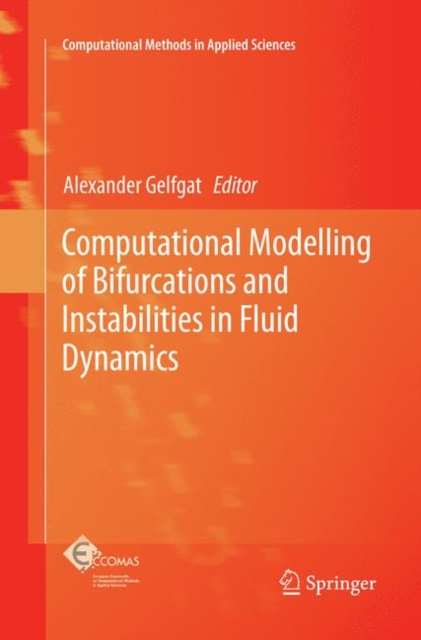 Computational Modelling of Bifurcations and Instabilities in Fluid Dynamics, Paperback / softback Book