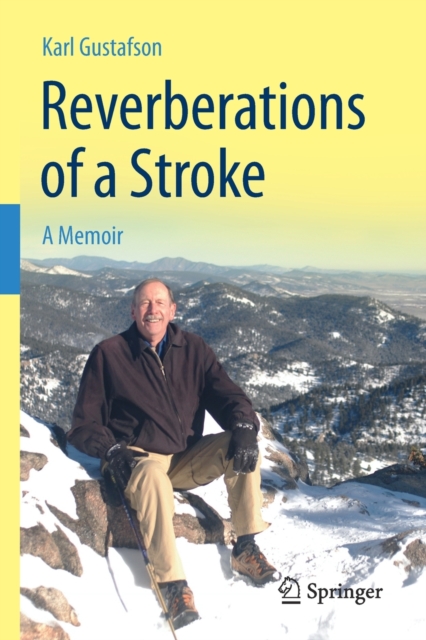 Reverberations of a Stroke : A Memoir, Paperback / softback Book