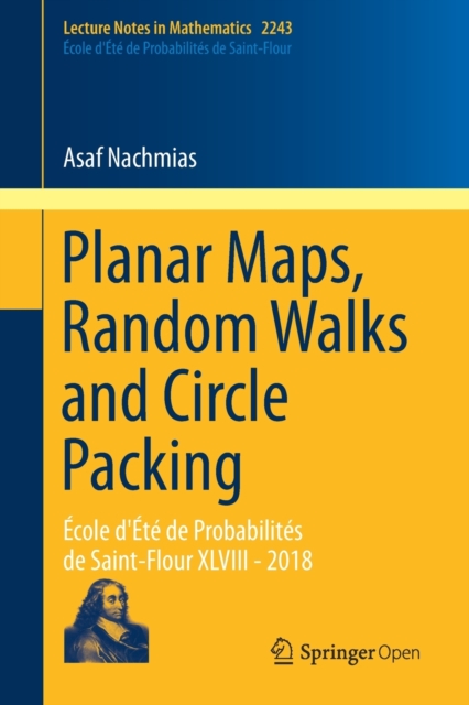 Planar Maps, Random Walks and Circle Packing : Ecole d'Ete de Probabilites de Saint-Flour XLVIII - 2018, Paperback / softback Book