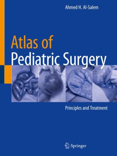 Atlas of Pediatric Surgery : Principles and Treatment, Paperback / softback Book