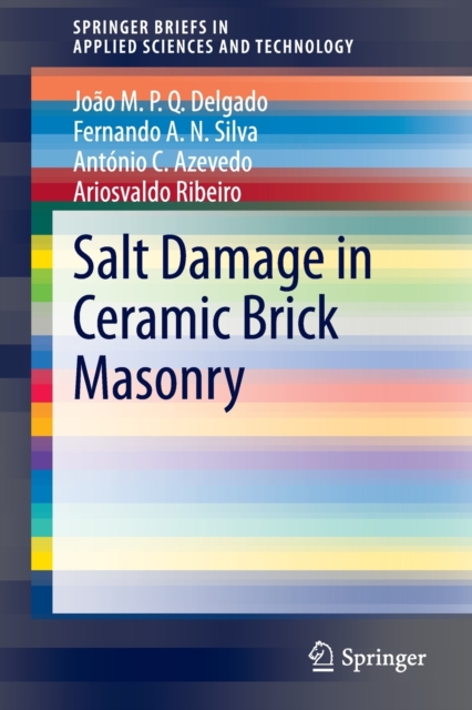 Salt Damage in Ceramic Brick Masonry, Paperback / softback Book