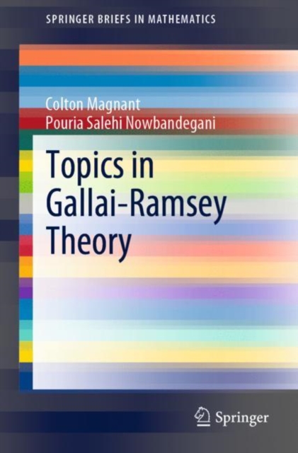 Topics in Gallai-Ramsey Theory, EPUB eBook