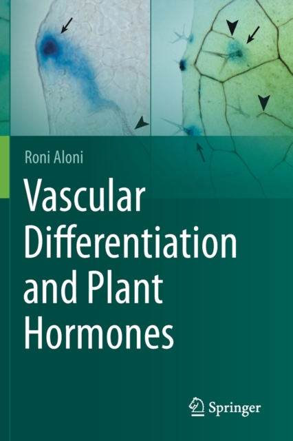 Vascular Differentiation and Plant Hormones, Paperback / softback Book