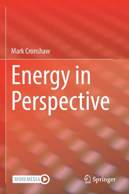 Energy in Perspective, Paperback / softback Book