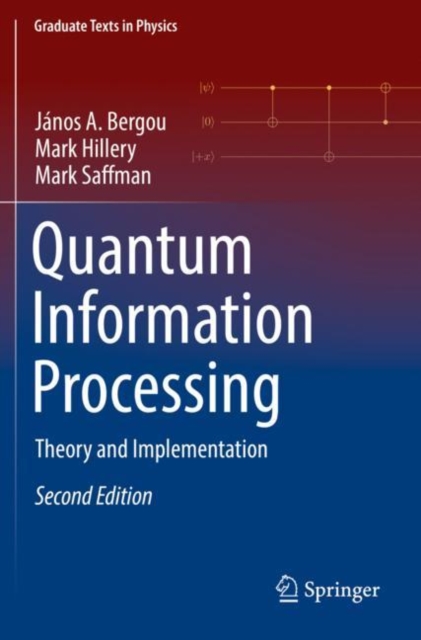 Quantum Information Processing : Theory and Implementation, Paperback / softback Book