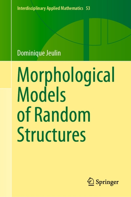 Morphological Models of Random Structures, PDF eBook