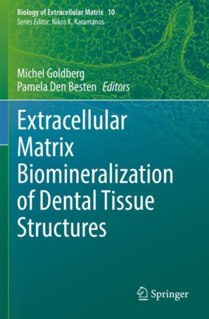 Extracellular Matrix Biomineralization of Dental Tissue Structures, Paperback / softback Book