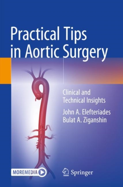 Practical Tips in Aortic Surgery : Clinical and Technical Insights, Paperback / softback Book