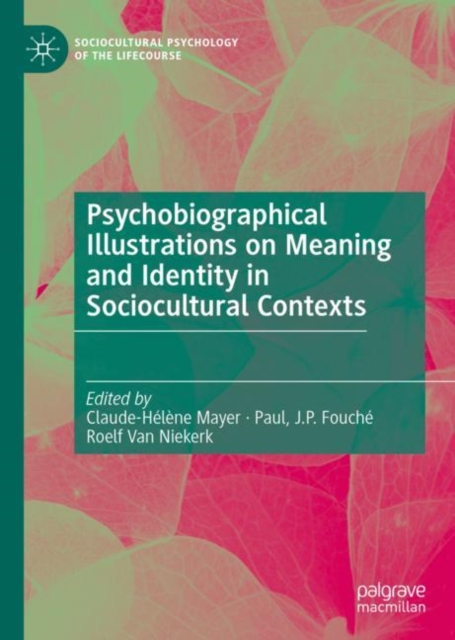 Psychobiographical Illustrations on Meaning and Identity in Sociocultural Contexts, EPUB eBook
