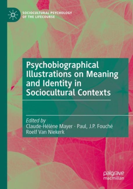 Psychobiographical Illustrations on Meaning and Identity in Sociocultural Contexts, Paperback / softback Book