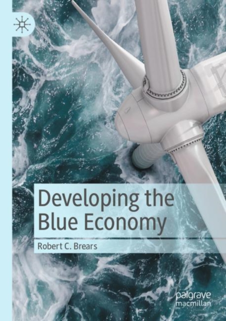 Developing the Blue Economy, Paperback / softback Book