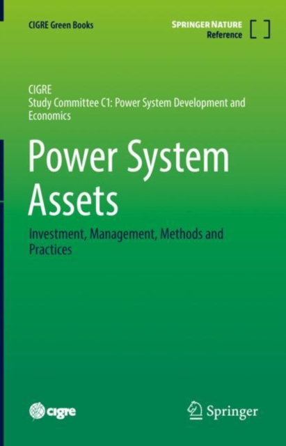 Power System Assets : Investment, Management, Methods and Practices, Hardback Book