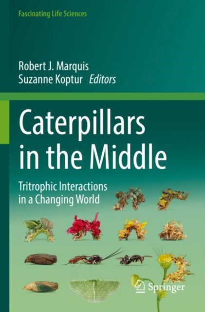 Caterpillars in the Middle : Tritrophic Interactions in a Changing World, Paperback / softback Book